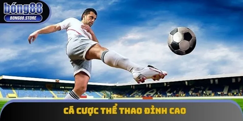 Cá cược thể thao đỉnh cao